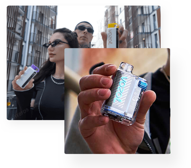 vozolcenterorgslider